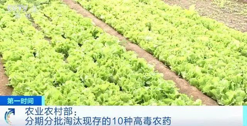 農(nóng)業(yè)農(nóng)村部:3年內(nèi)淘汰這10種高毒農(nóng)藥, 重點(diǎn)治理豇豆、韭菜、芹菜農(nóng)殘超標(biāo)(圖1) 農(nóng)業(yè)農(nóng)村部:3年內(nèi)淘汰這10種高毒農(nóng)藥, 重點(diǎn)治理豇豆、韭菜、芹菜農(nóng)殘超標(biāo)(圖1)