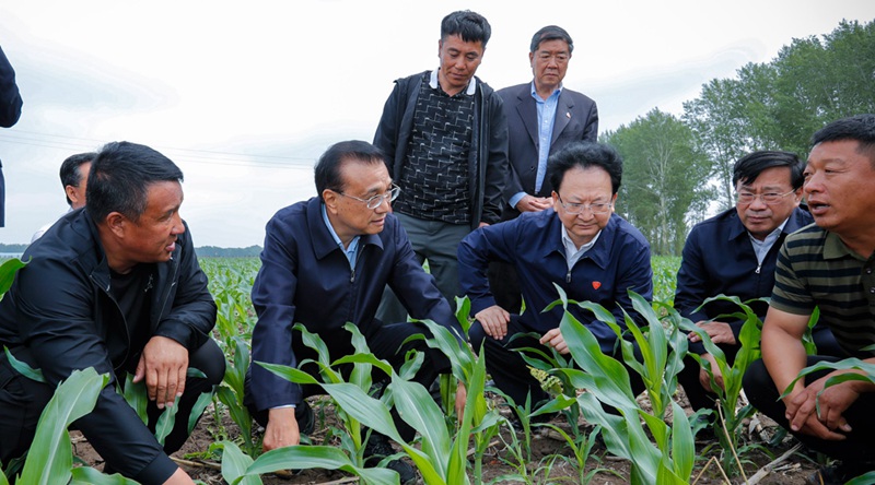 重磅！農資上漲不要怕，補貼來了！(圖1)